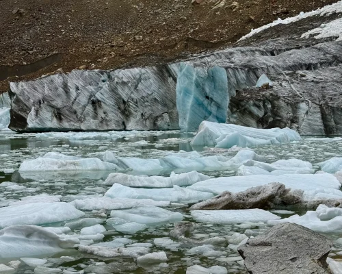 Rocotuyoc-Congelada-scaled