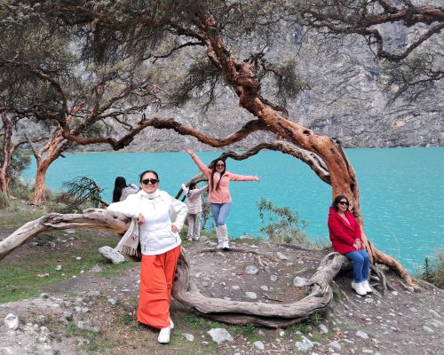 WhatsApp Image 2026-01-25 at 17.49.02