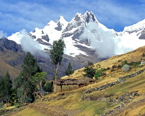 trekking-llanganuco-alpamayo-cedros2